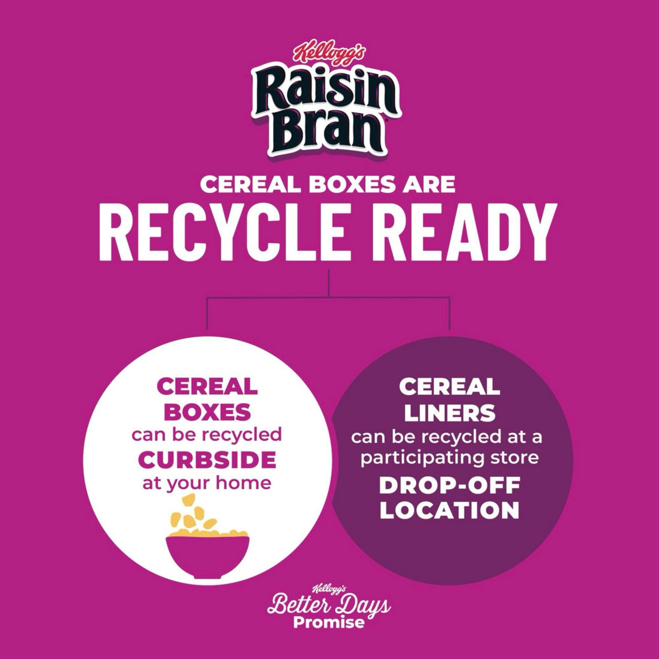 Kellogg's Raisin Bran Breakfast Cereal, 2 pk.